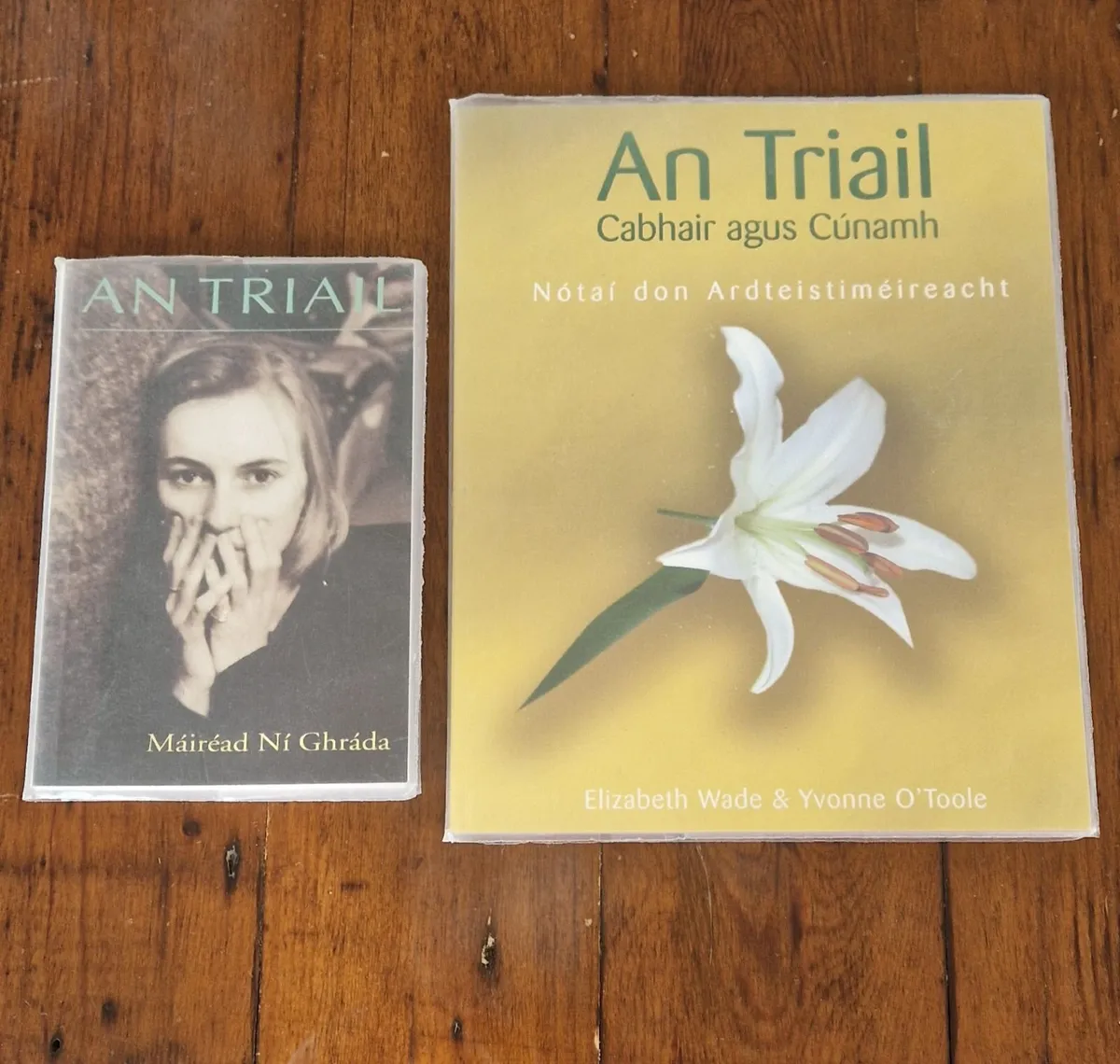 Irish books - Image 2
