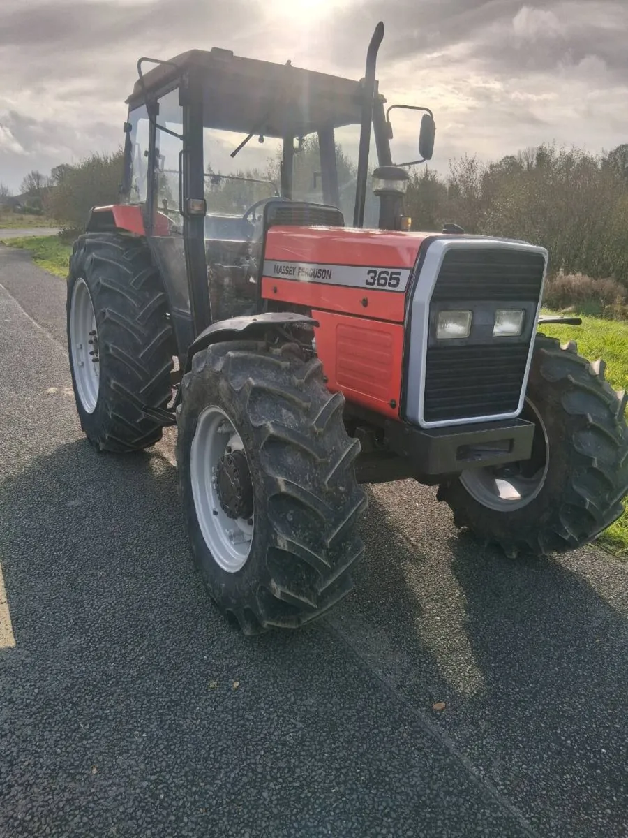 Massey ferguson 365 - Image 2