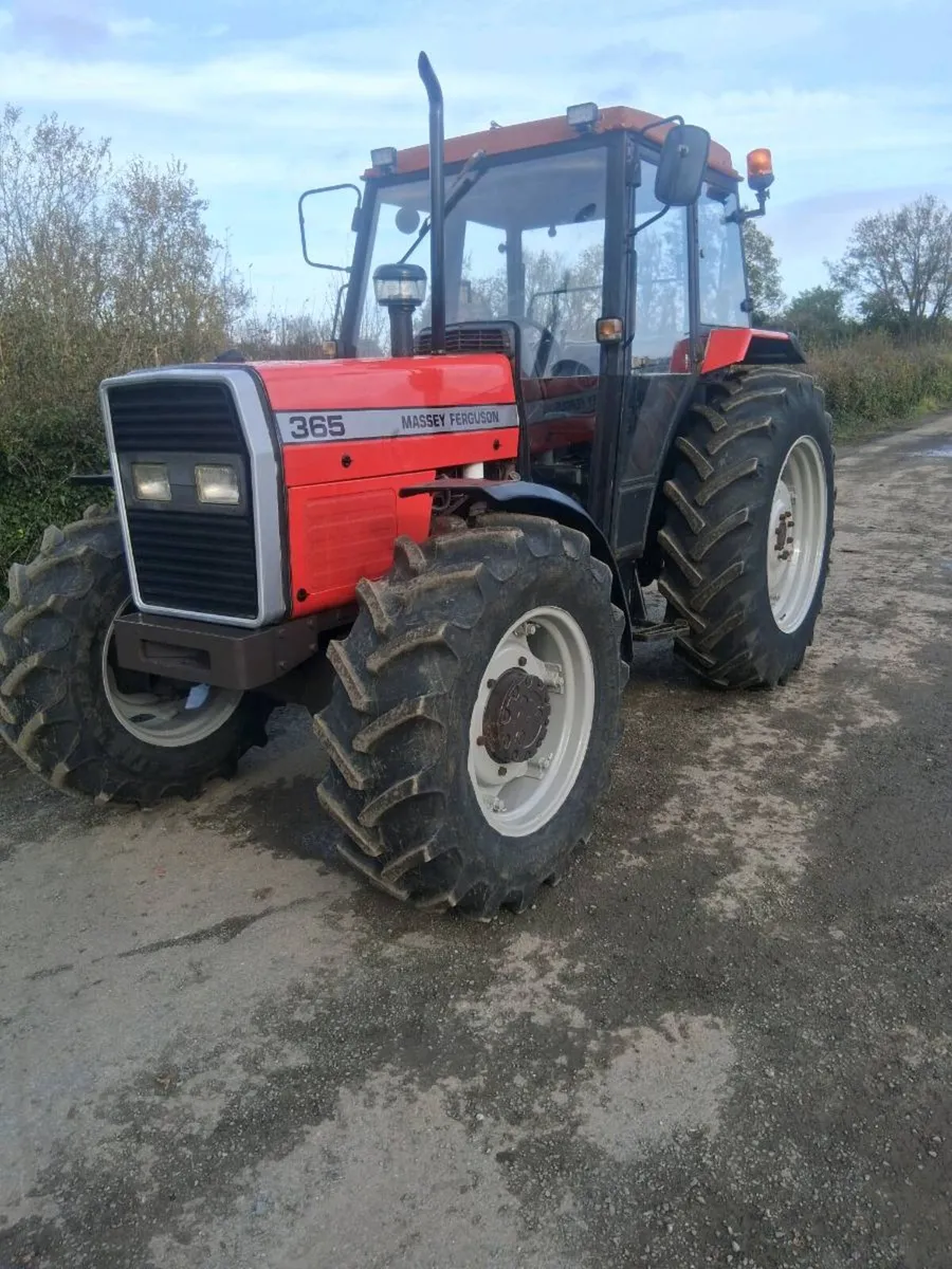 Massey ferguson 365 - Image 1