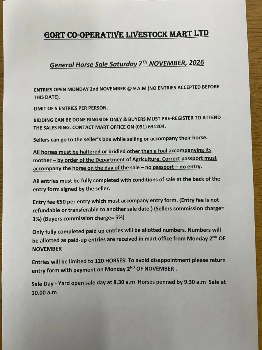 Gort Mart: Pre entry Horse sale: Sat 7th Nov - Image 3
