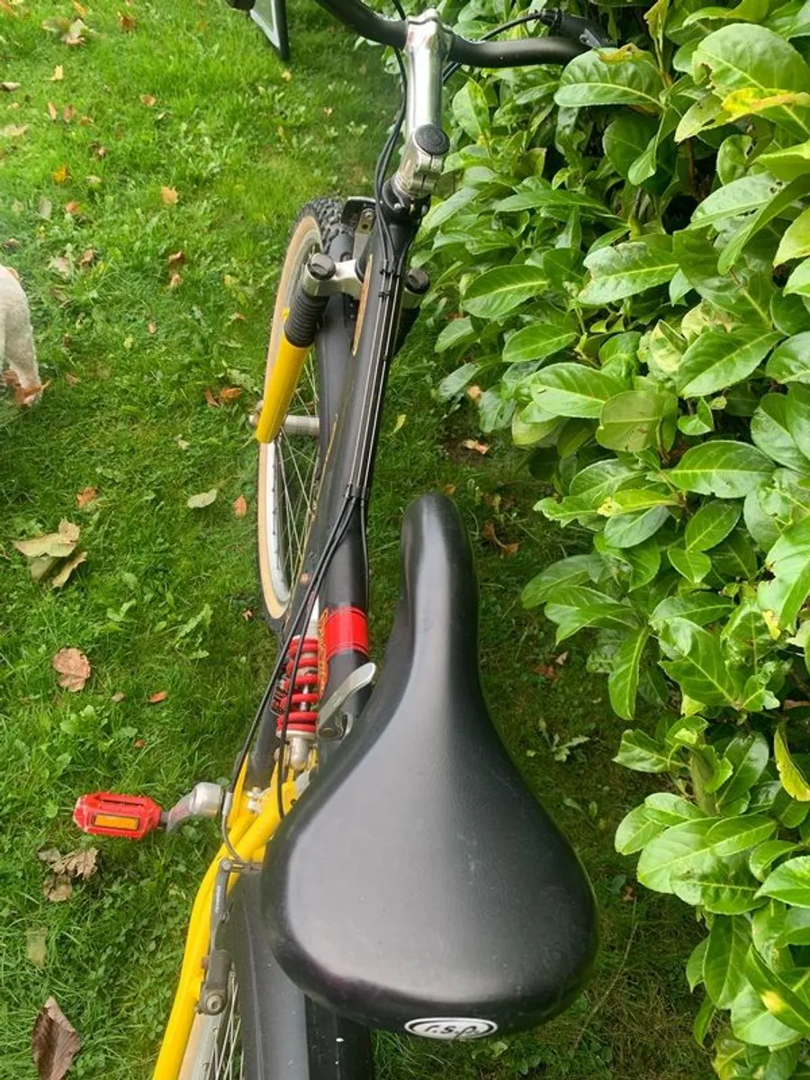 raleigh max mountain bike - Image 4