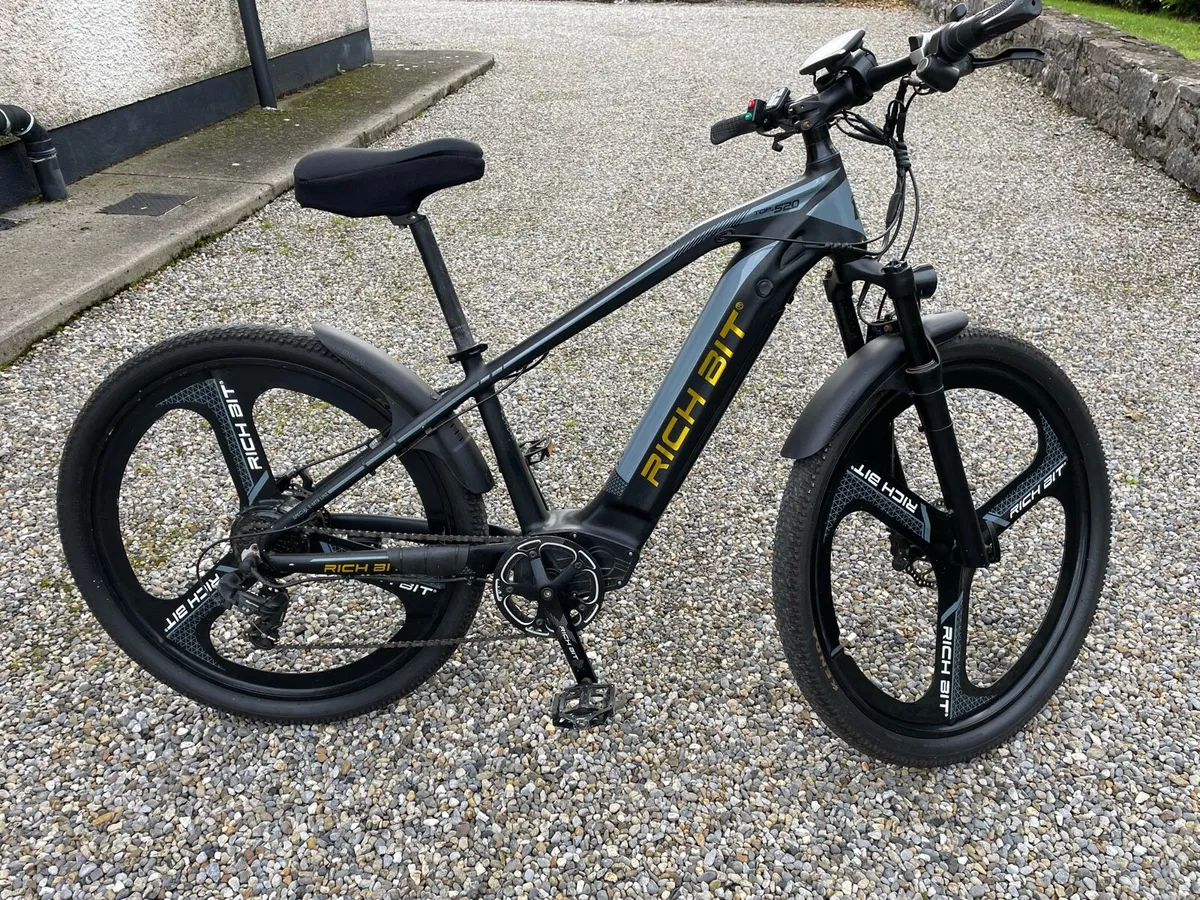 Electric Bike - Image 4