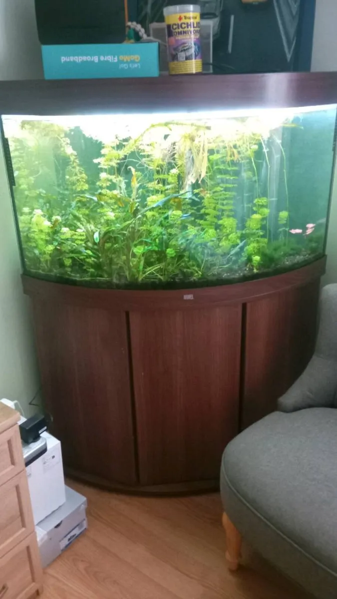 Corner aquarium JUWEL - Image 1