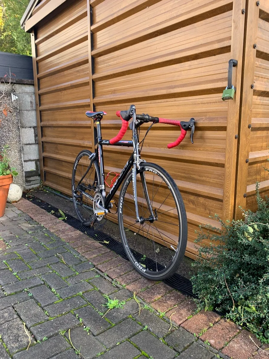 Pro Lite Bella Campagnolo Veloce Road Bike - Image 2