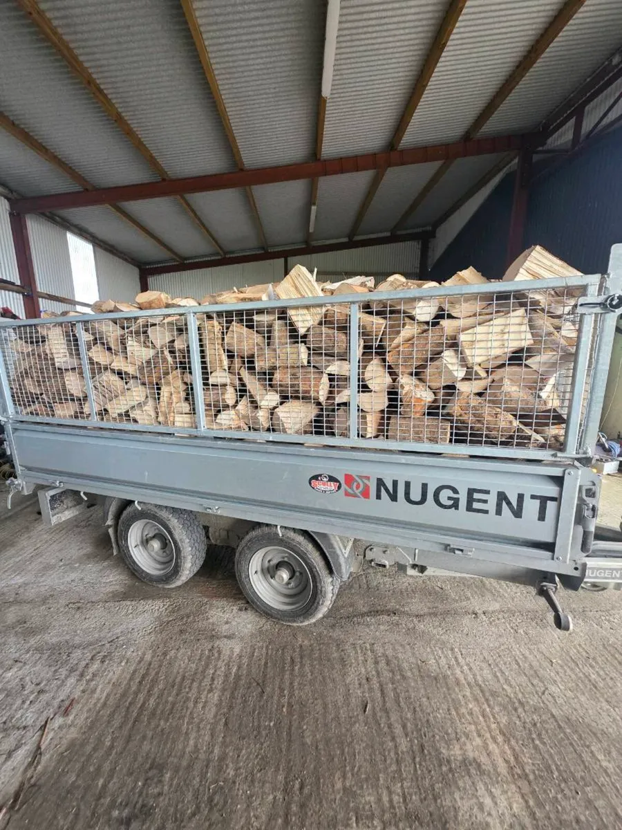 🔥Ash firewood🔥 - Image 4