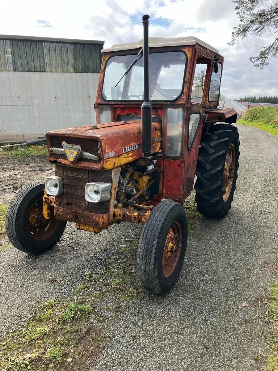 Massey Ferguson 135 - Image 3