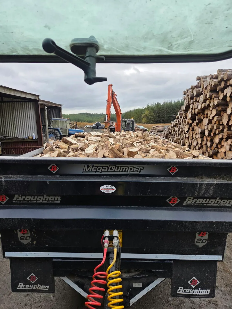 🔥Ash firewood🔥 - Image 2
