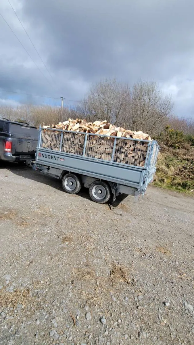 🔥Ash firewood🔥 - Image 1