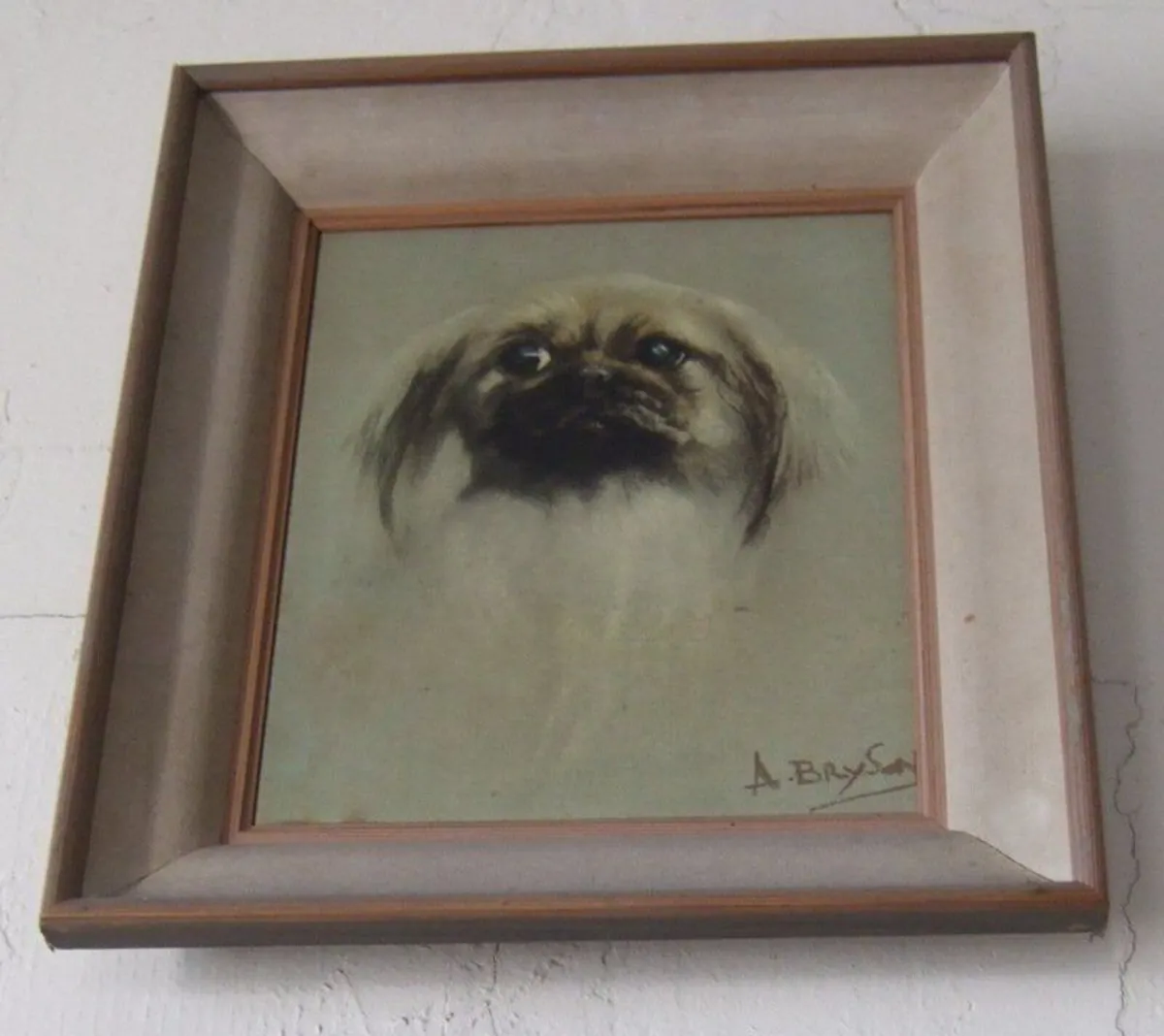 Beautiful Pristine Vintage Pekingese Dog Portrait - Image 3