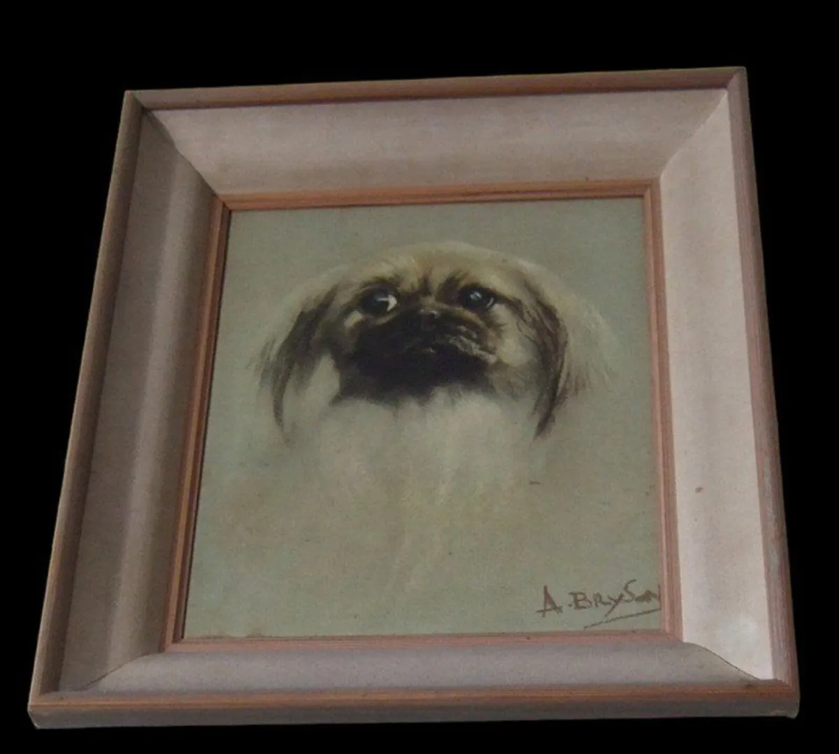 Beautiful Pristine Vintage Pekingese Dog Portrait - Image 2