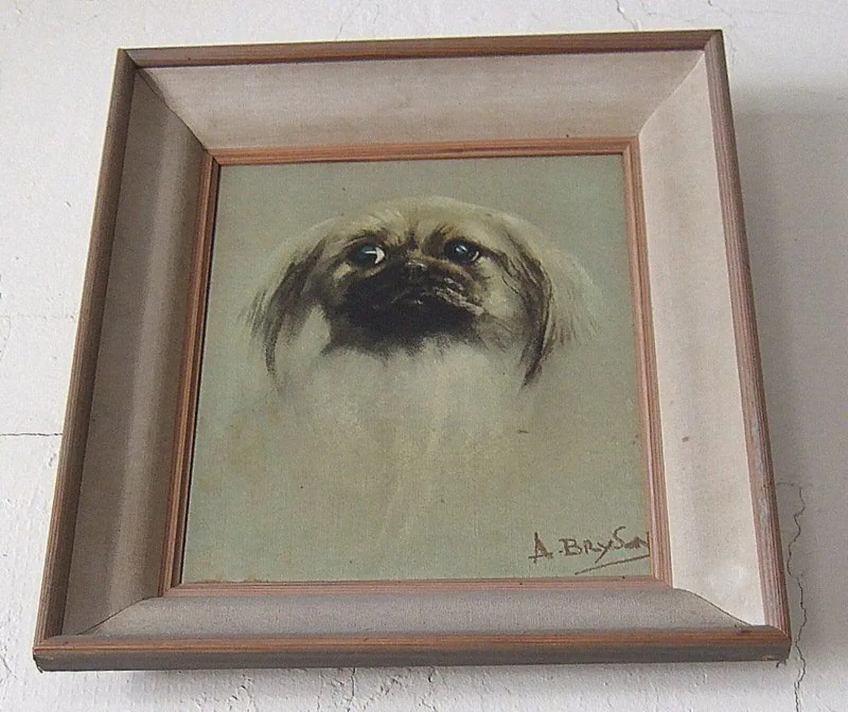 Beautiful Pristine Vintage Pekingese Dog Portrait - Image 4