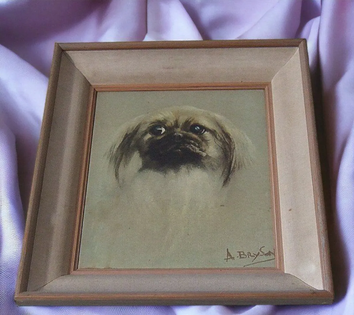 Beautiful Pristine Vintage Pekingese Dog Portrait - Image 1