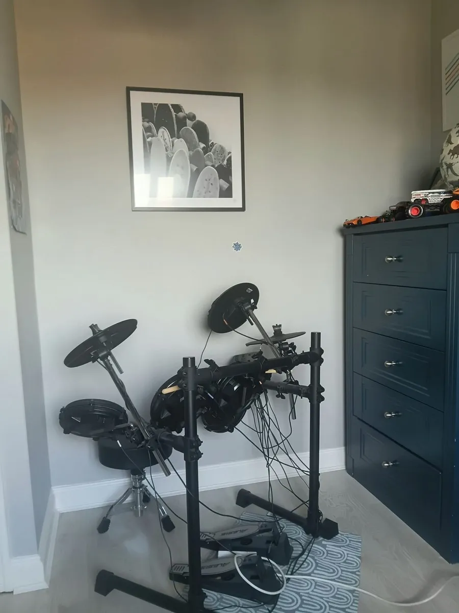 Alesis Turbo Mesh Drum Kit - Perfect Condition - Image 1
