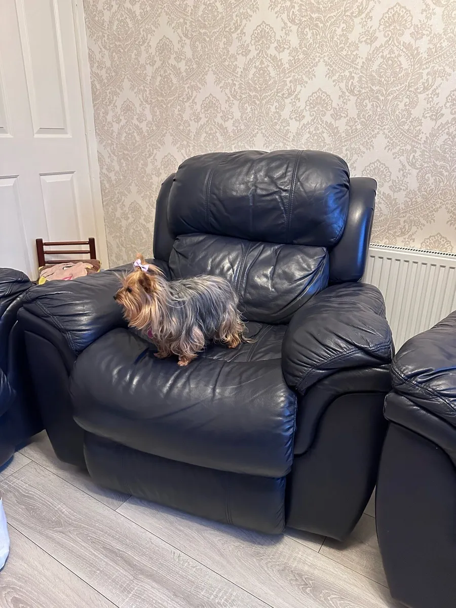 Leather couch 3+1+1 Manual recliner - Image 3