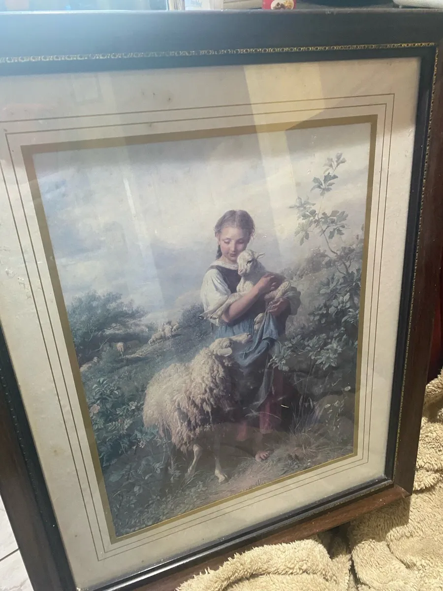 Picture - Image 3