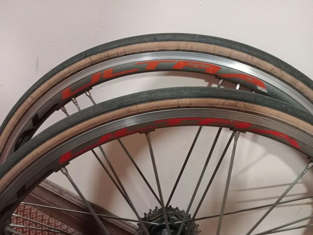 Campagnolo Shamal Ultra bike wheelset - Image 1