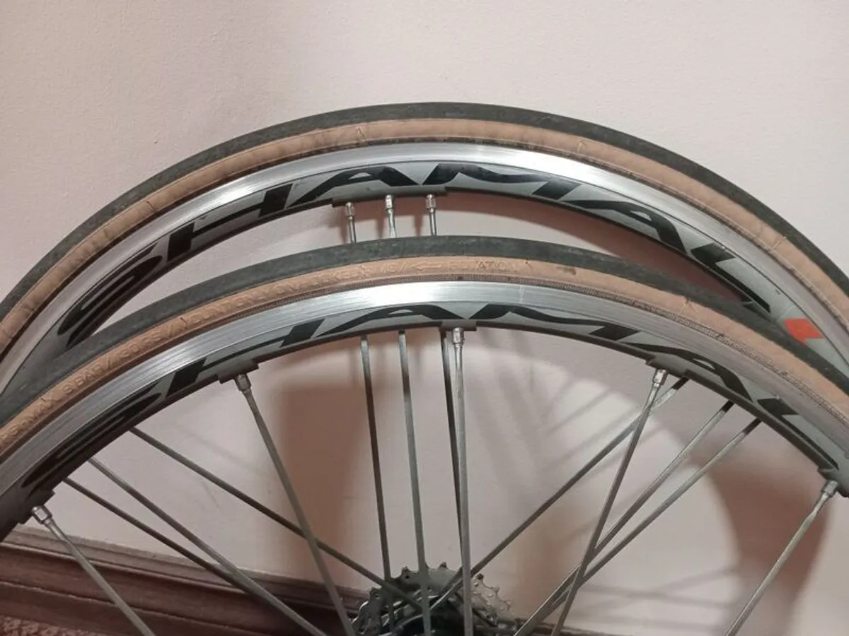 Campagnolo Shamal Ultra bike wheelset - Image 2