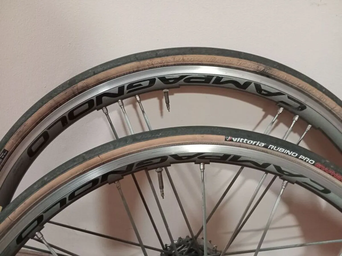 Campagnolo Shamal Ultra bike wheelset - Image 3