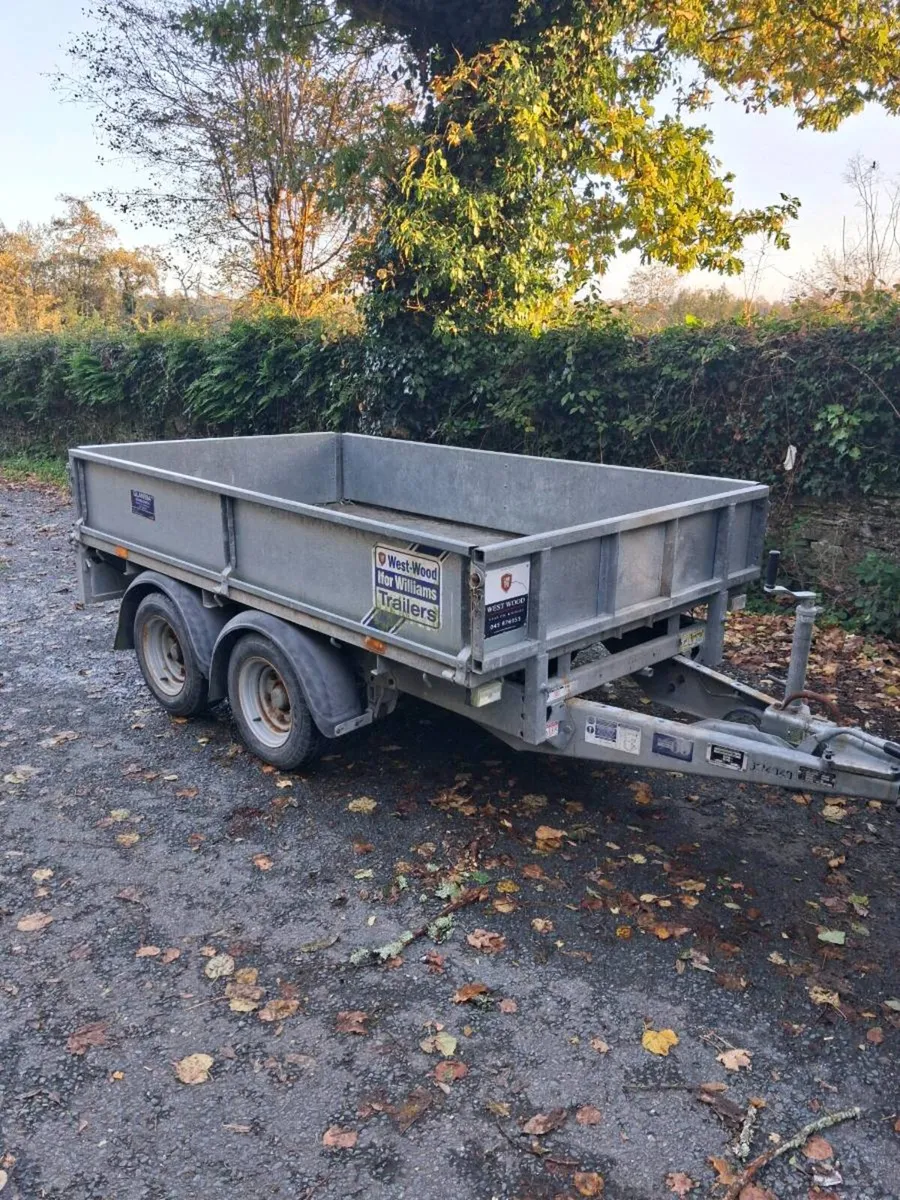 Ifor williams trailer, 2020, 8x5 - Image 1