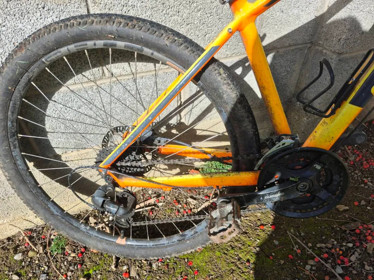 Carrera bike for sale - Image 2