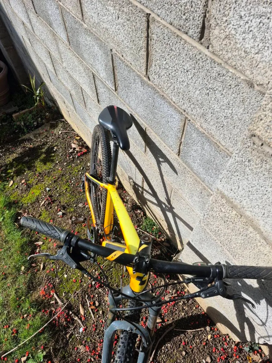 Carrera bike for sale - Image 4