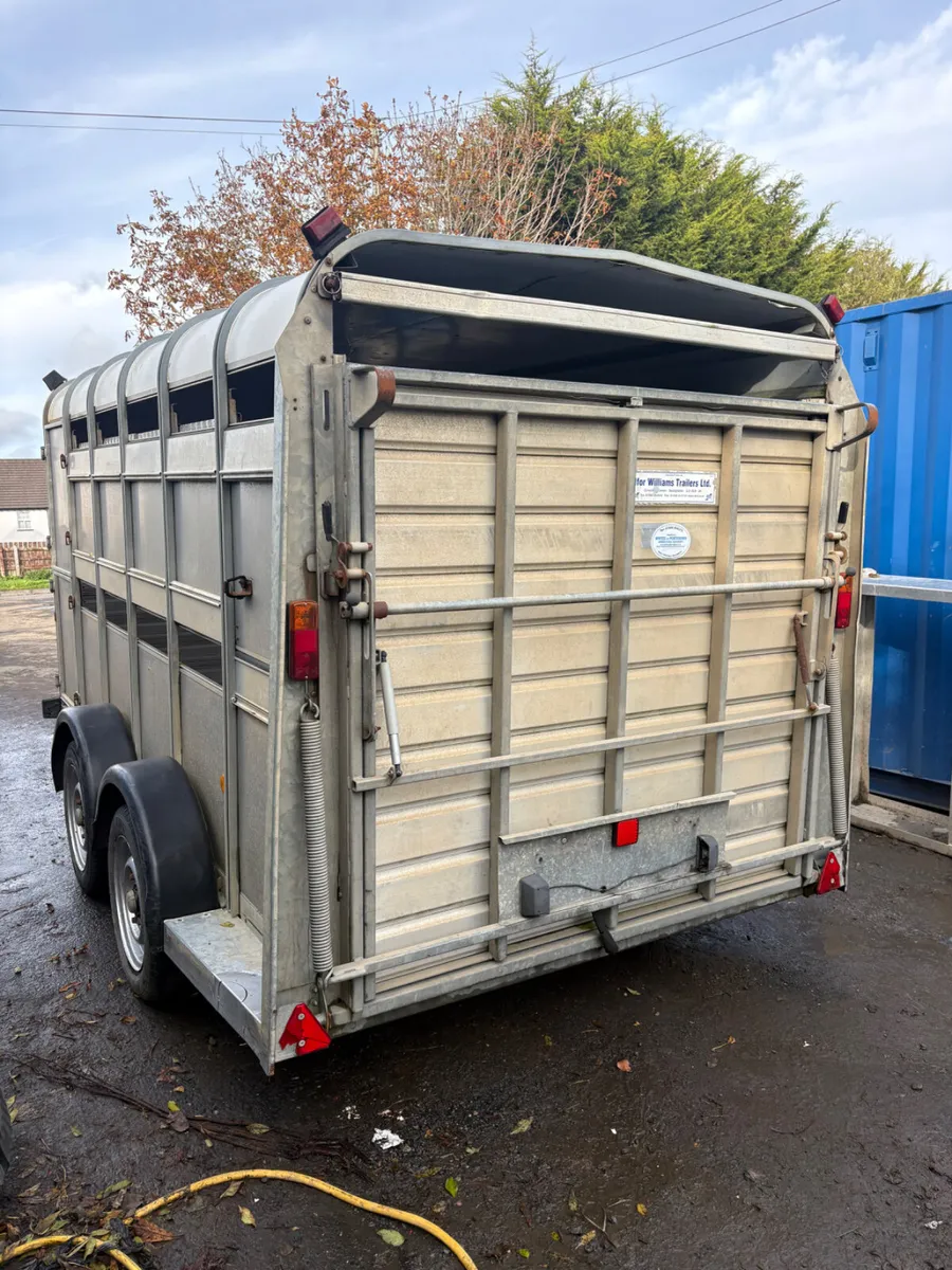 Ifor Williams 12ft cattle trailer - Image 2