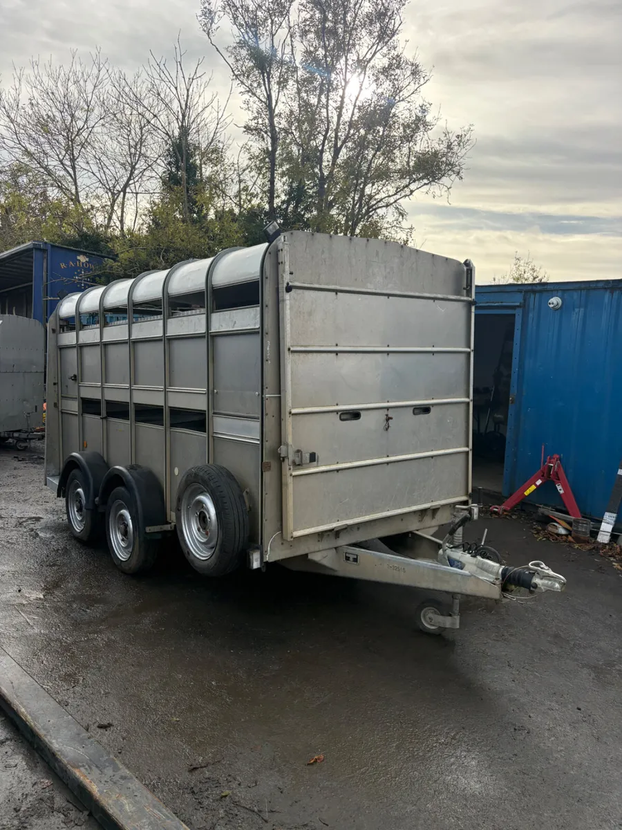 Ifor Williams 12ft cattle trailer - Image 1