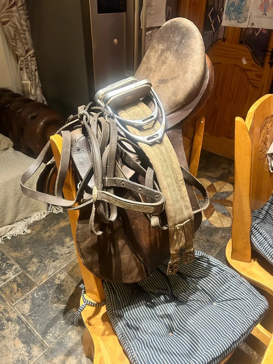 Saddle and bridle