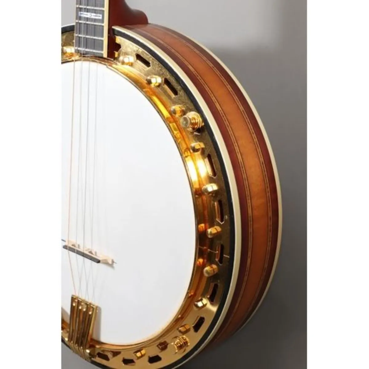 Vega banjo 4 stringed - Image 1