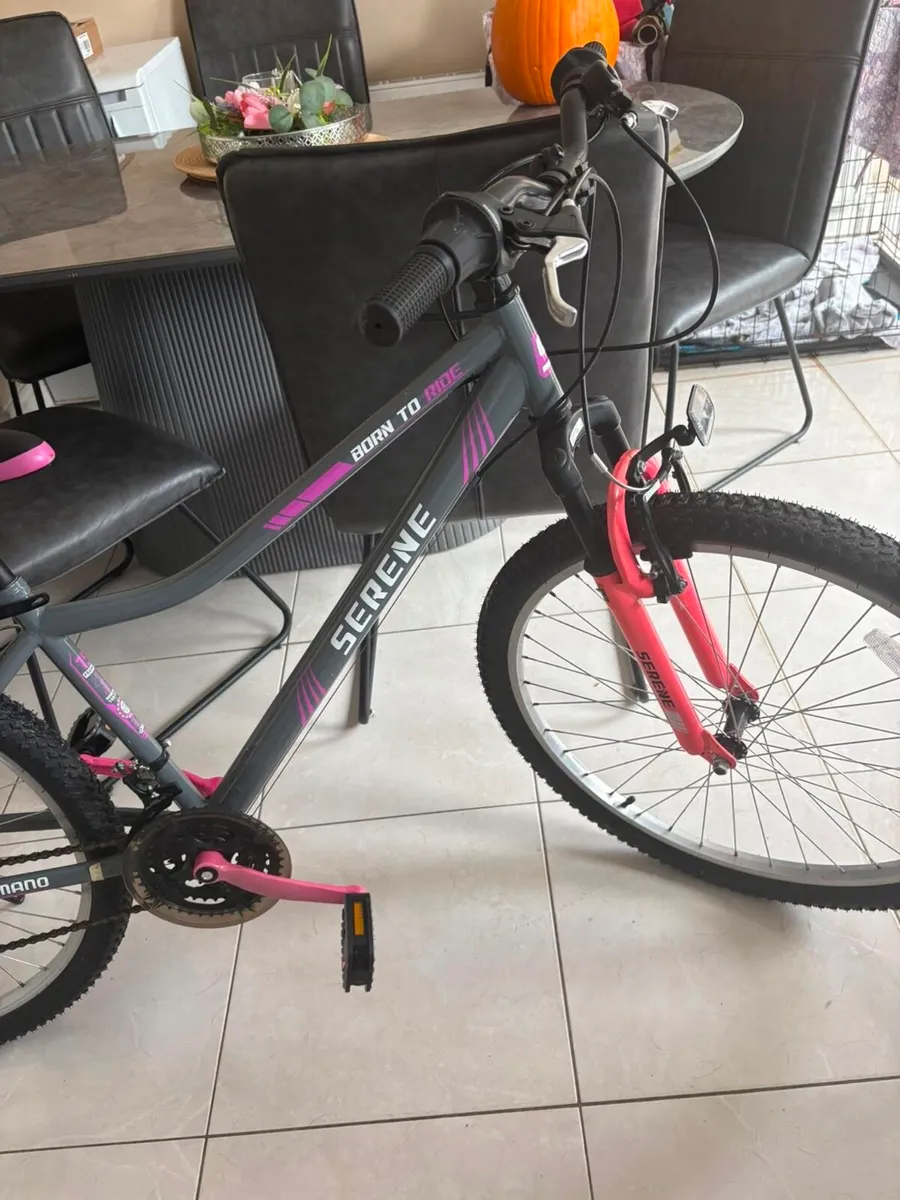 26inch bike - Image 2