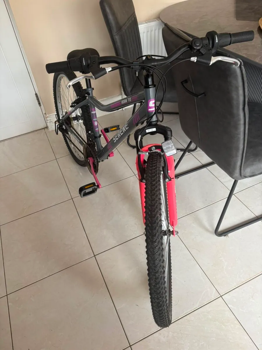 26inch bike - Image 4