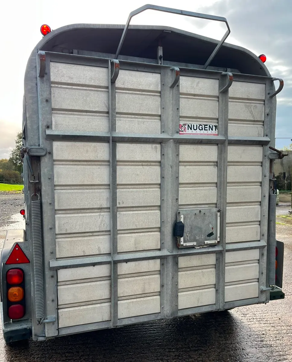 10X5'6 Nugent Livestock Trailer - Image 4