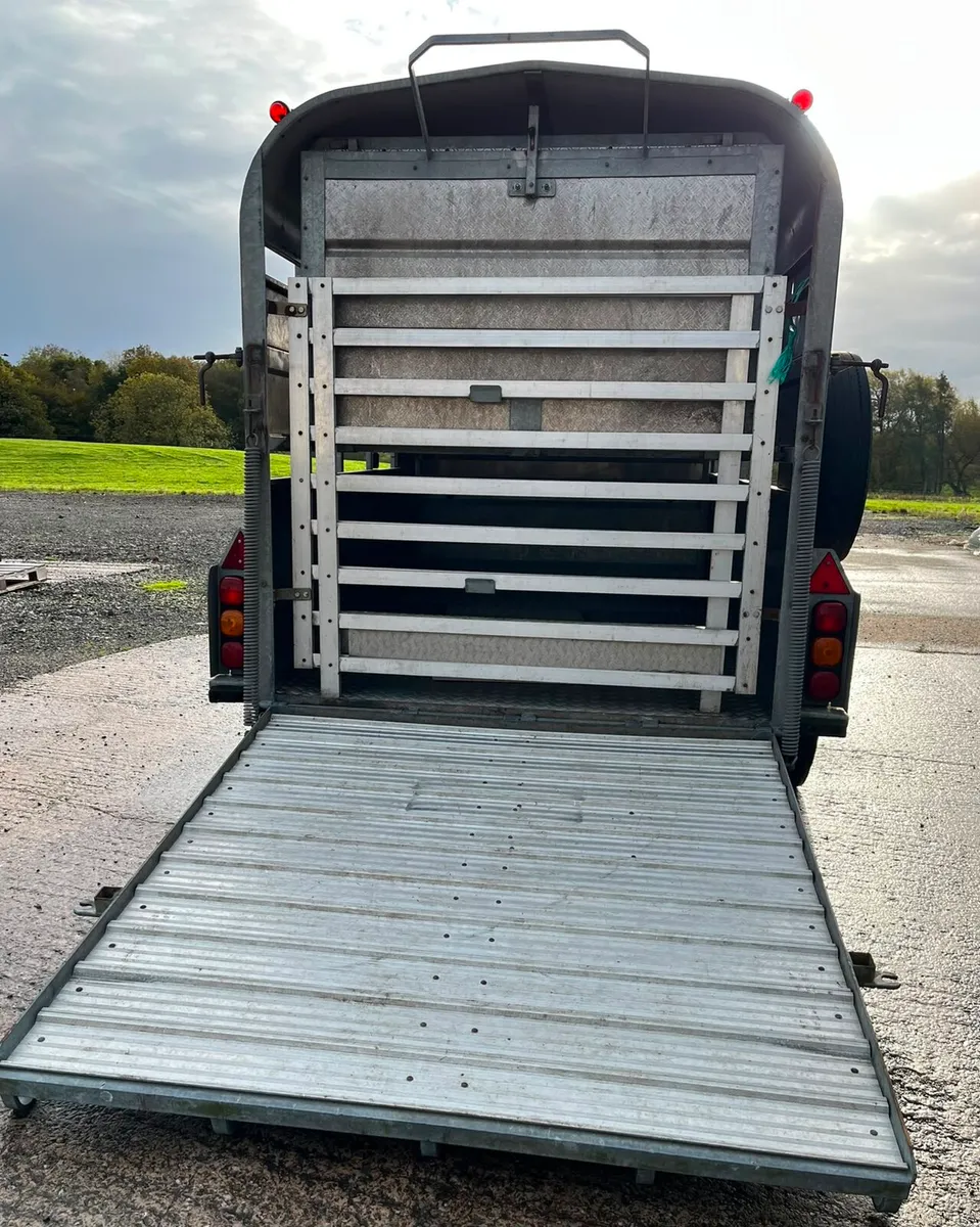 10X5'6 Nugent Livestock Trailer - Image 3