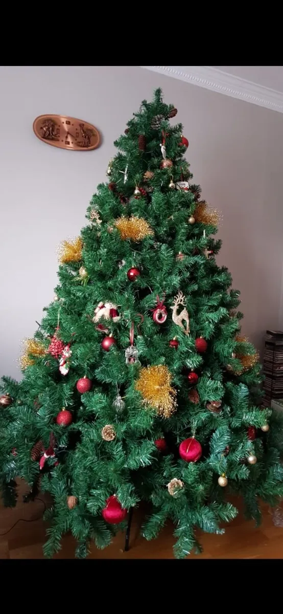 Christmas tree for sale