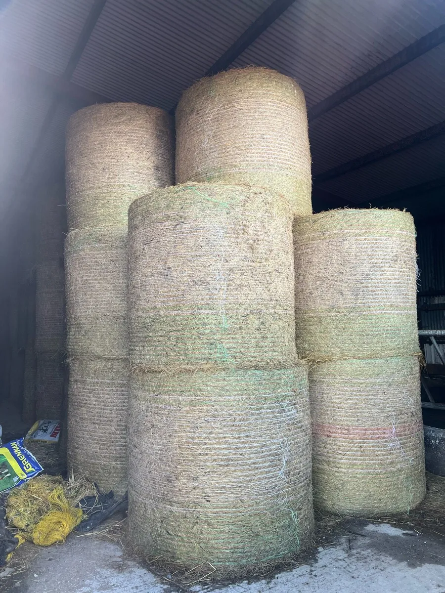 organic hay - Image 1