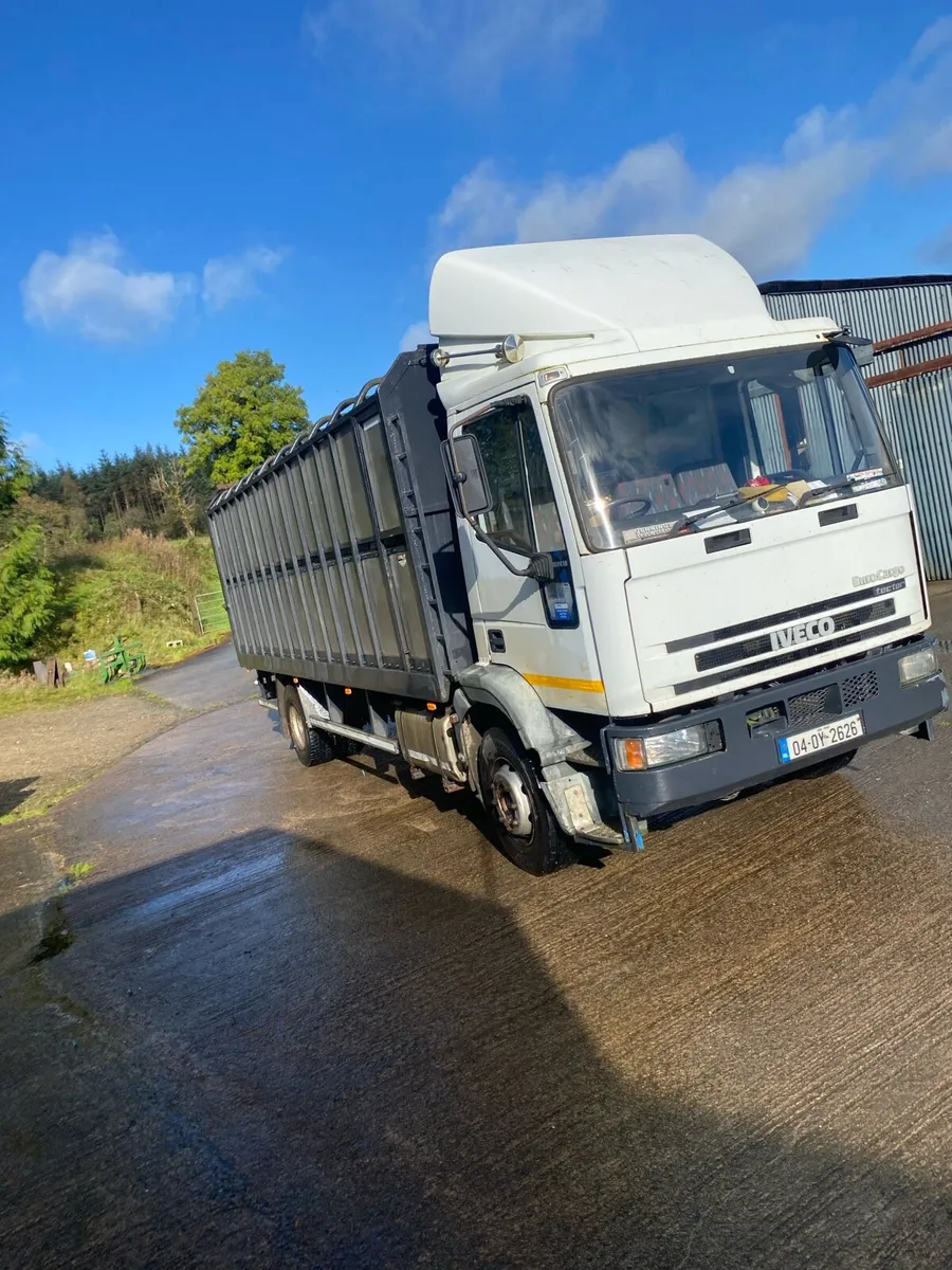 Iveco cattle lorry - Image 1