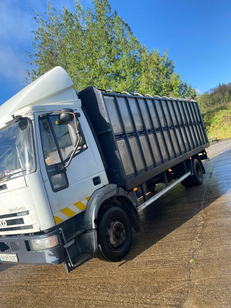 Iveco cattle lorry - Image 2