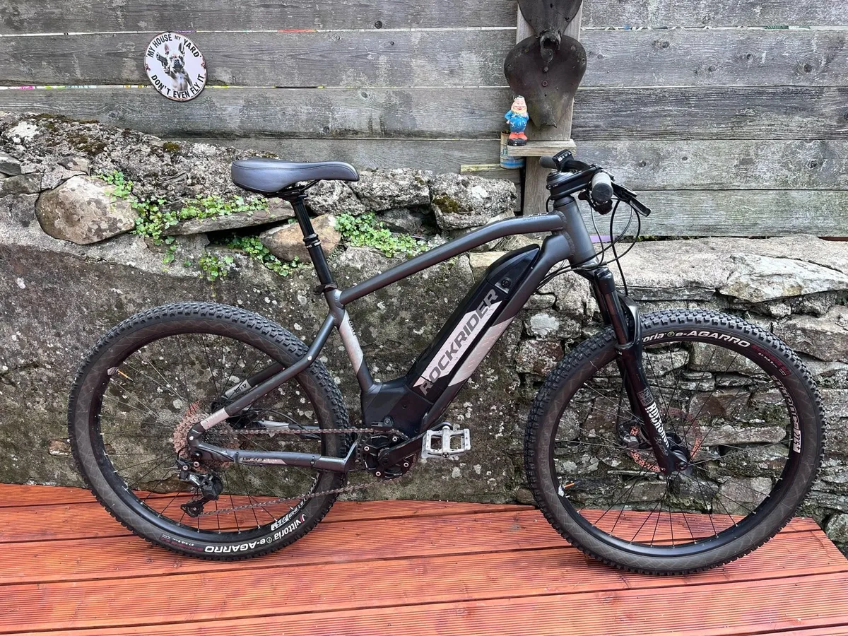Adult Bike e bike