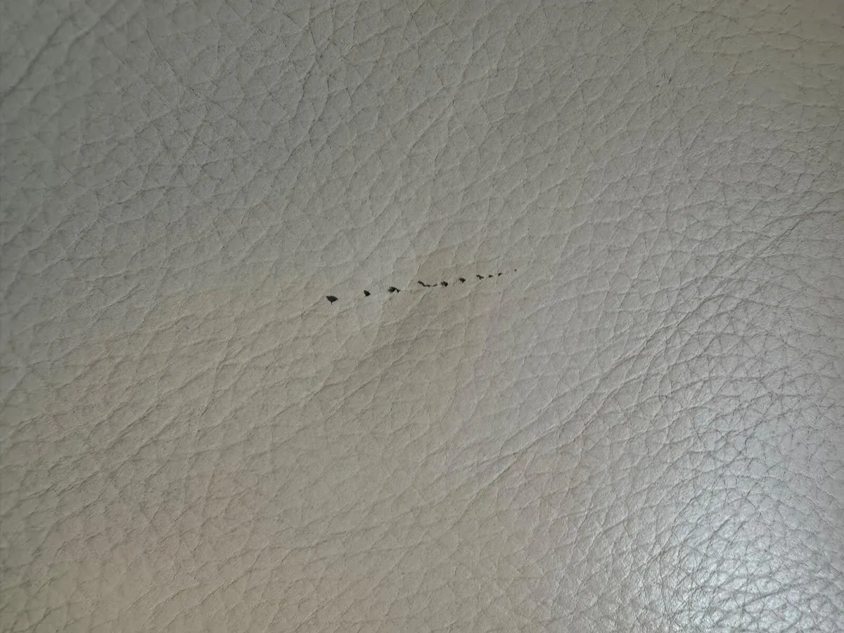 Light Grey leather sofa - Image 3
