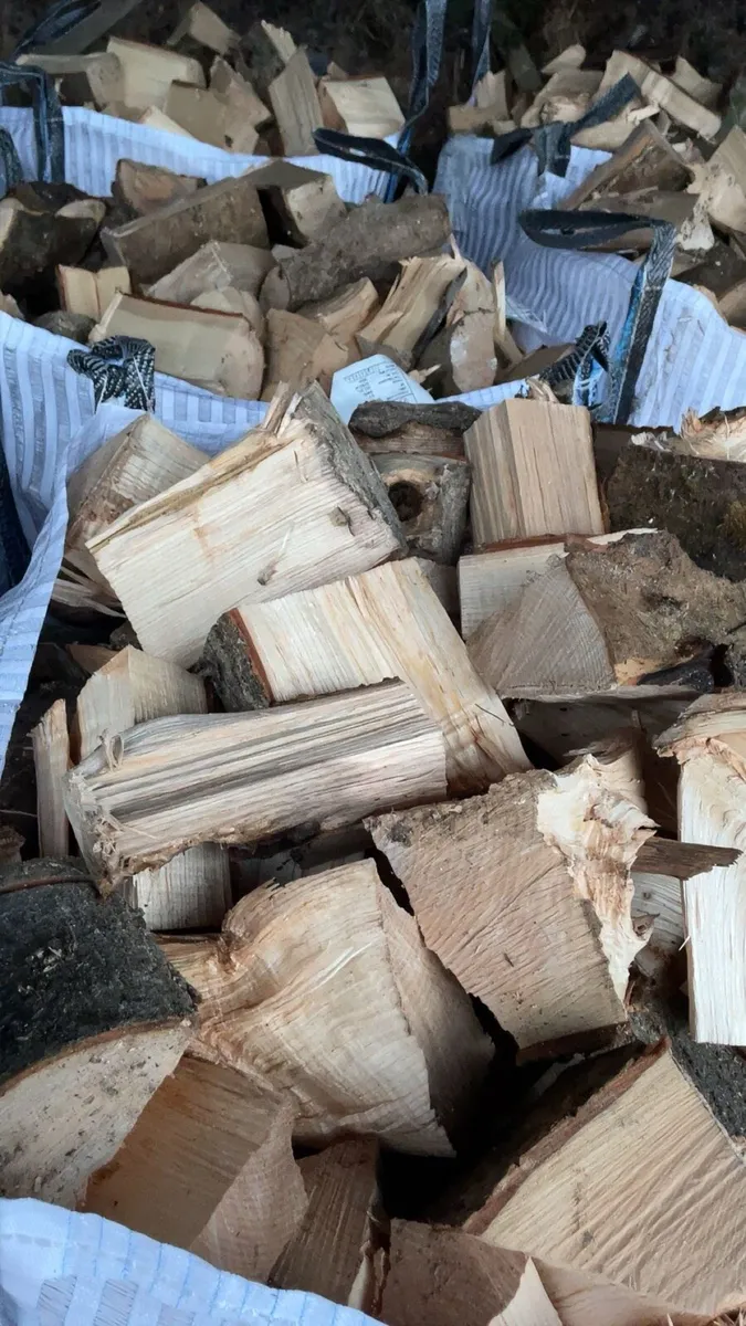 🔥🔥Ash Firewood🔥🔥 - Image 2