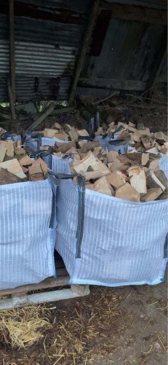 🔥🔥Ash Firewood🔥🔥 - Image 4