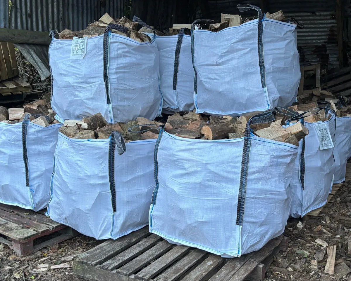 🔥🔥Ash Firewood🔥🔥 - Image 1