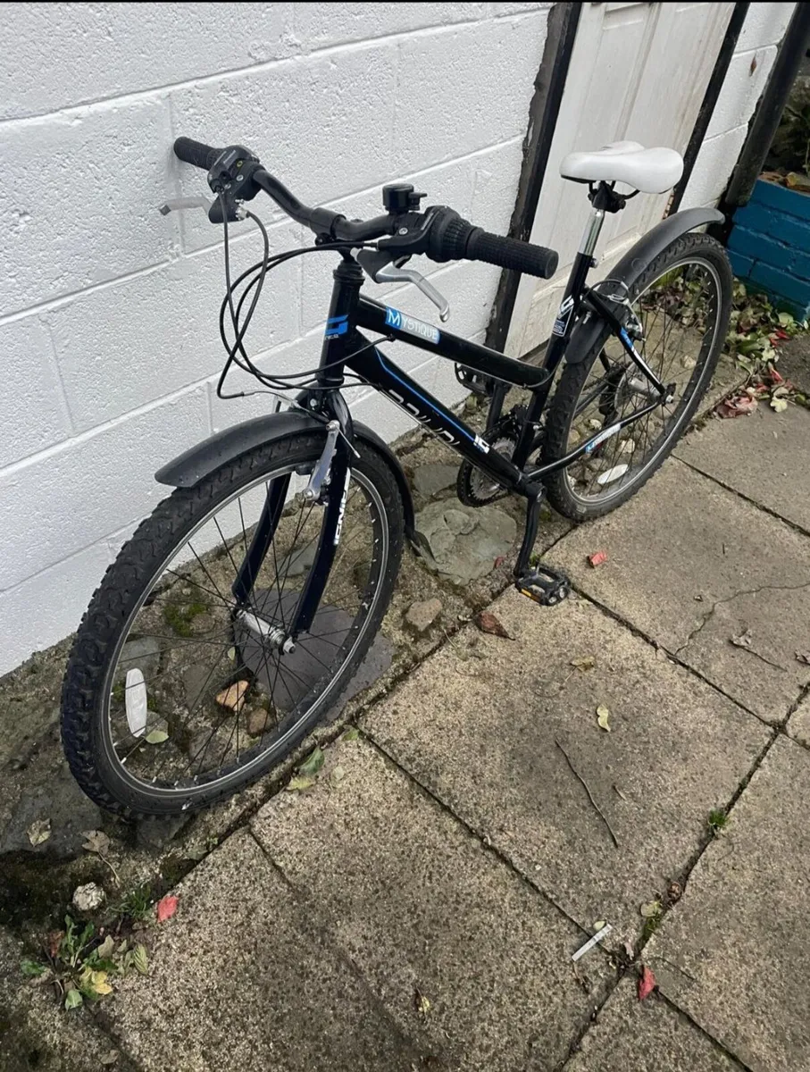 Bicycle - Image 2