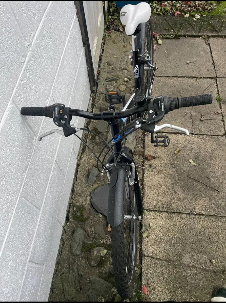 Bicycle - Image 3