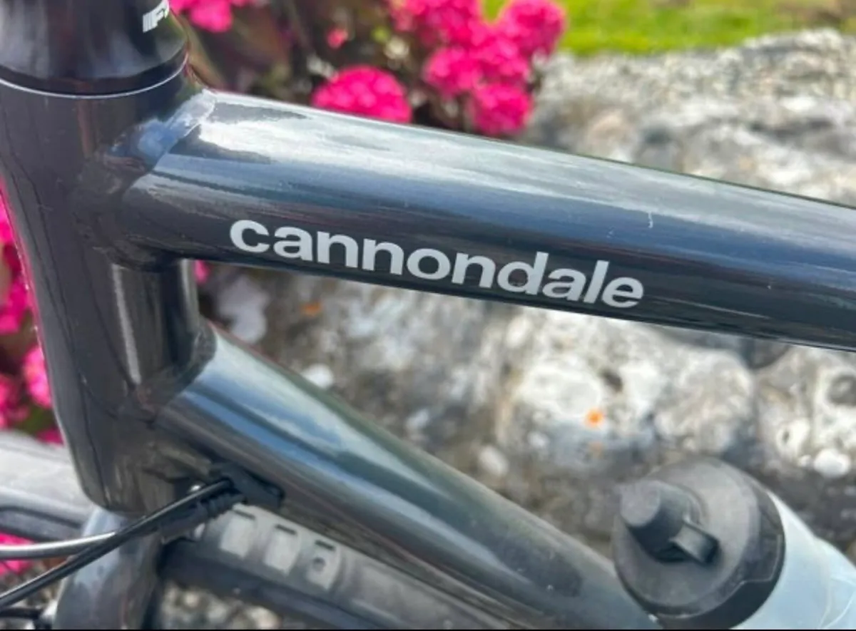 Hybird cannondale - Image 3