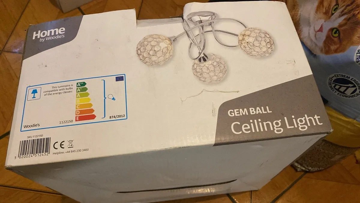 Ceiling Light - Image 1