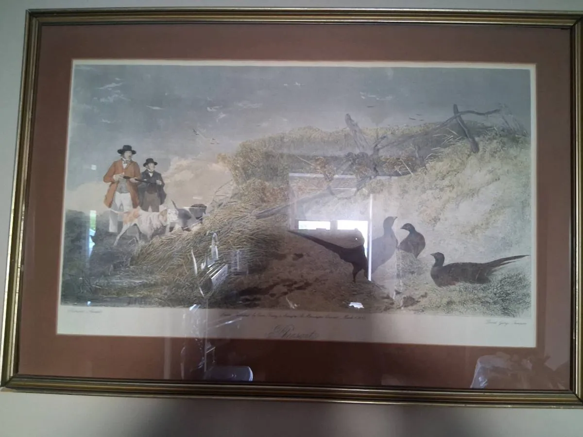 Pictures - Image 3
