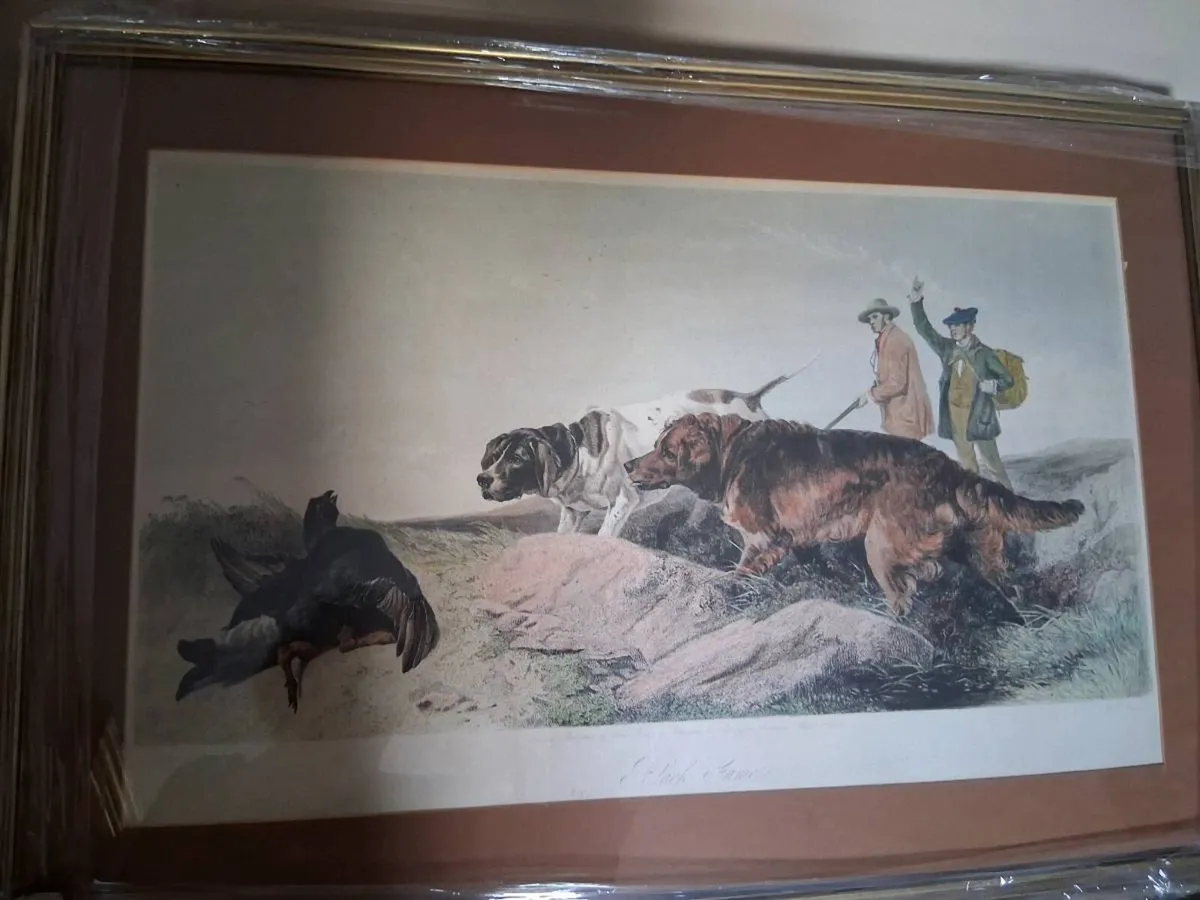 Pictures - Image 4