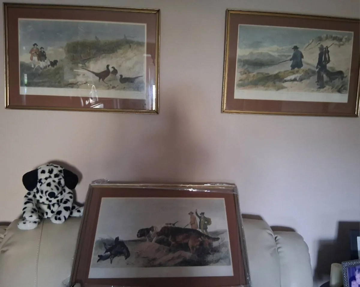 Pictures - Image 1