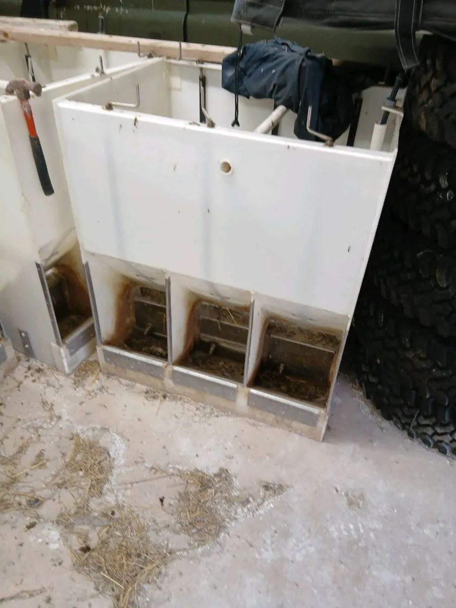 Pig feeders - Image 2